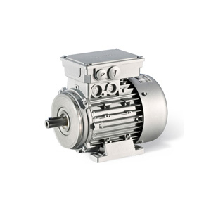 FE1_Drehstrommotor_w_B_200x400